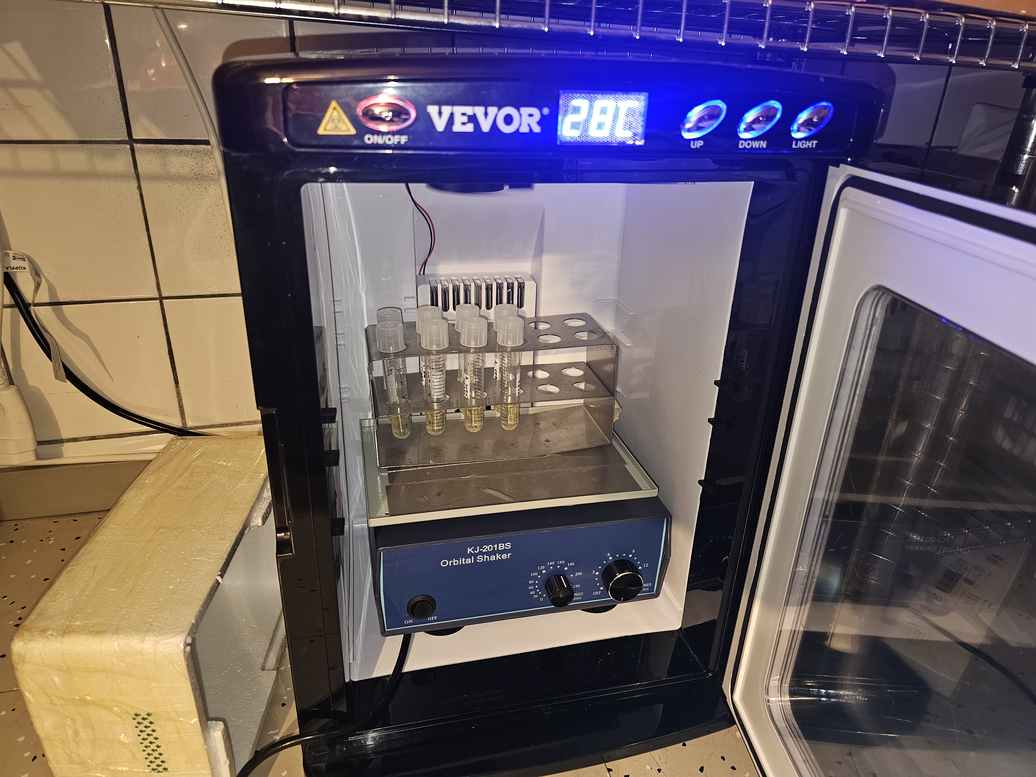 Incubator shaker with bacterial cultures