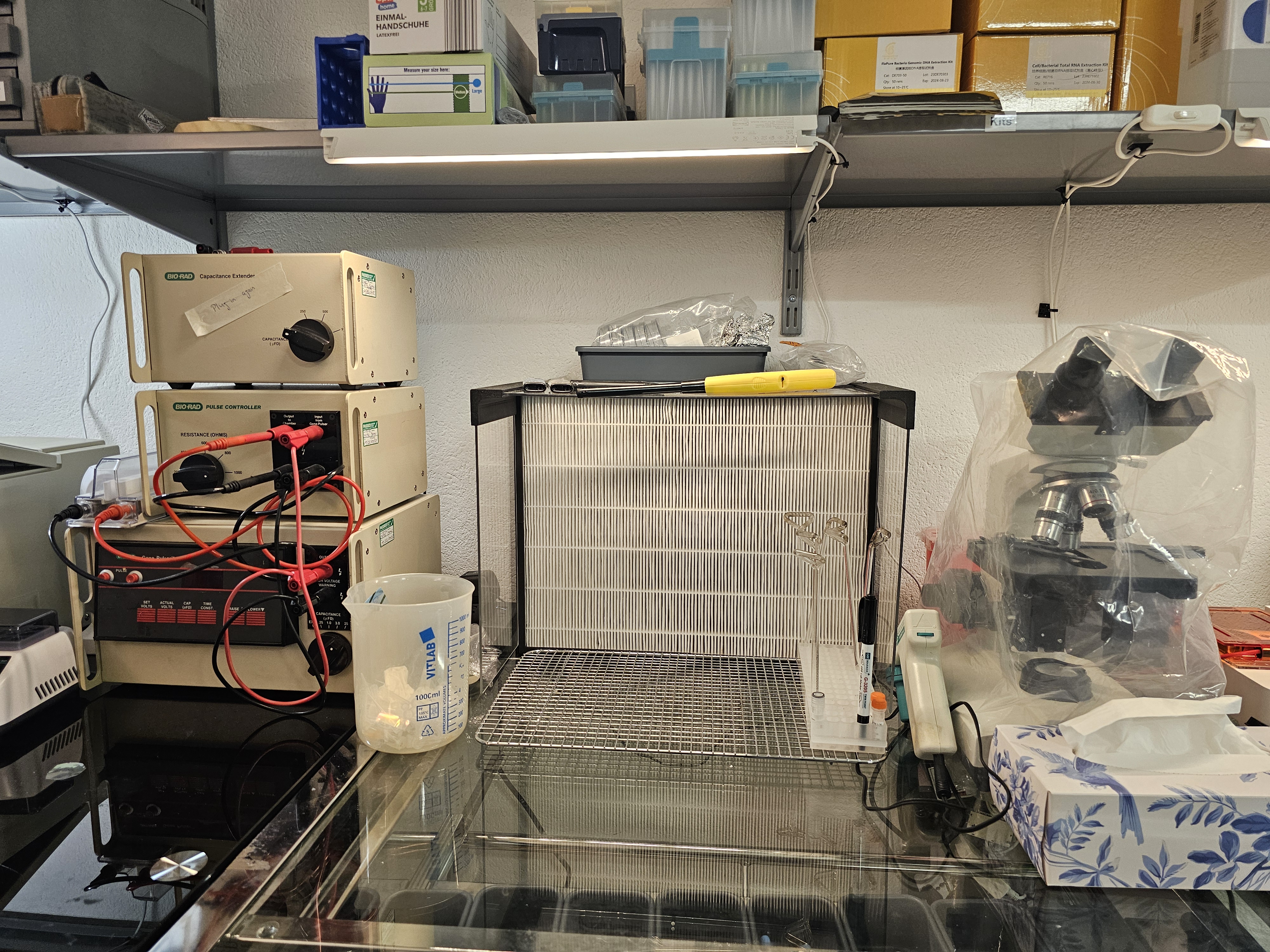 Electrophoresis and microscope bench